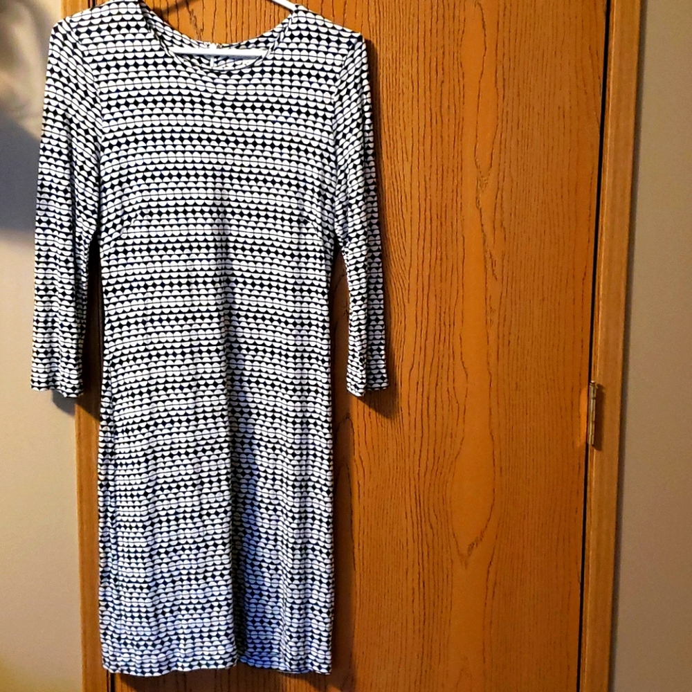 Banana Republic Fitted Long Sleeve Dress Size 6p-